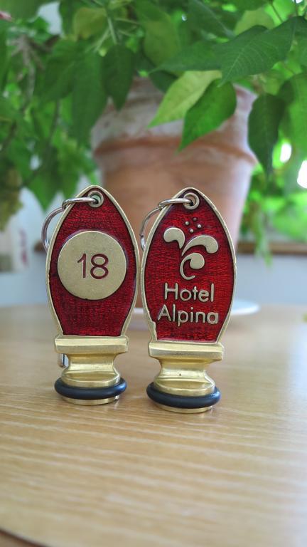 Hotel Alpina ダヴォス・プラッツ エクステリア 写真