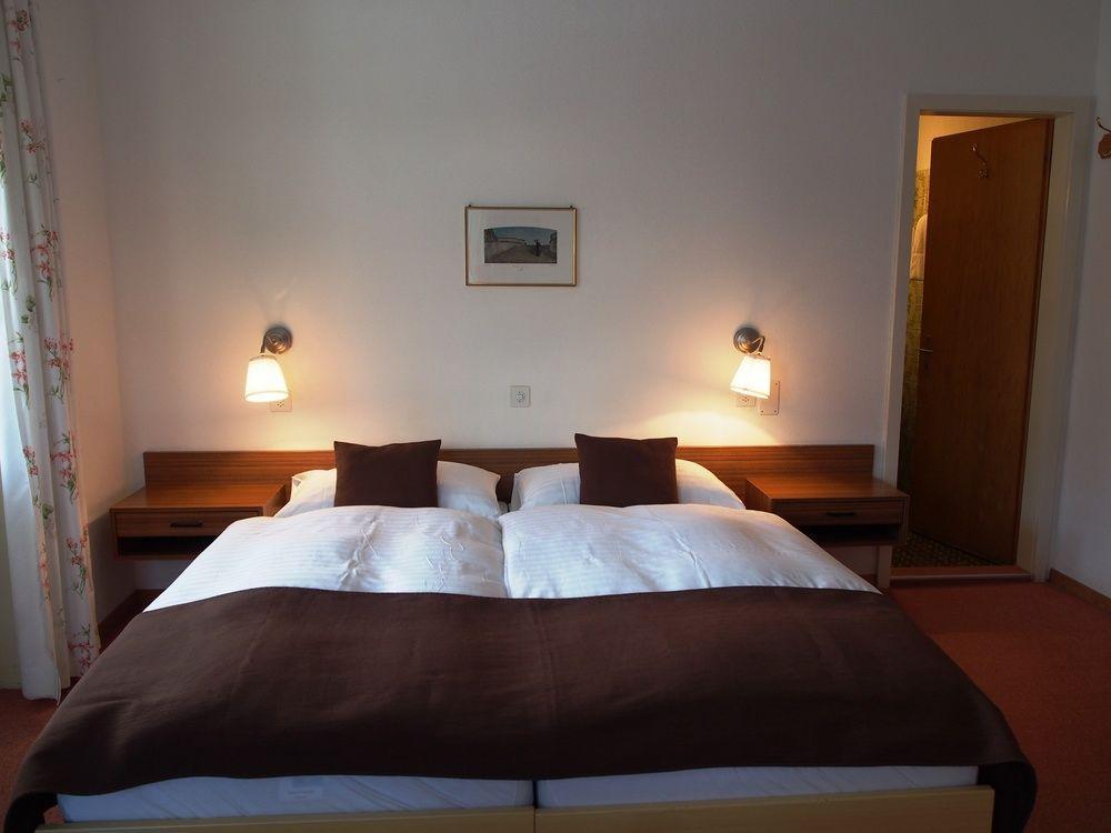 Hotel Alpina ダヴォス・プラッツ エクステリア 写真