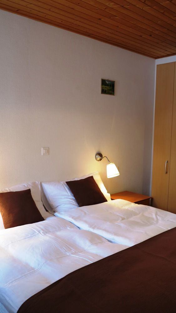 Hotel Alpina ダヴォス・プラッツ エクステリア 写真
